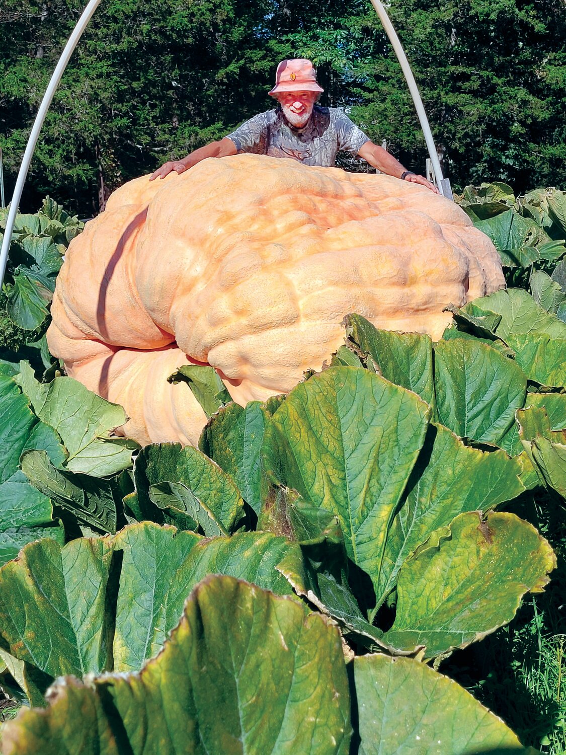 IDITAROD OF GARDENING: Steve Sperry shows off his final harvest of the year, soon to be known as the Sperry XXXX (the X’s will be replaced by the pumpkin’s weight, after this weekend’s Rhode Island state weigh-in). The gargantuan gourd is estimated to weigh well over 2,000 pounds. The giant pumpkin, grown off Hopkins Avenue in Johnston, is the fourth of the season raised by Sperry.